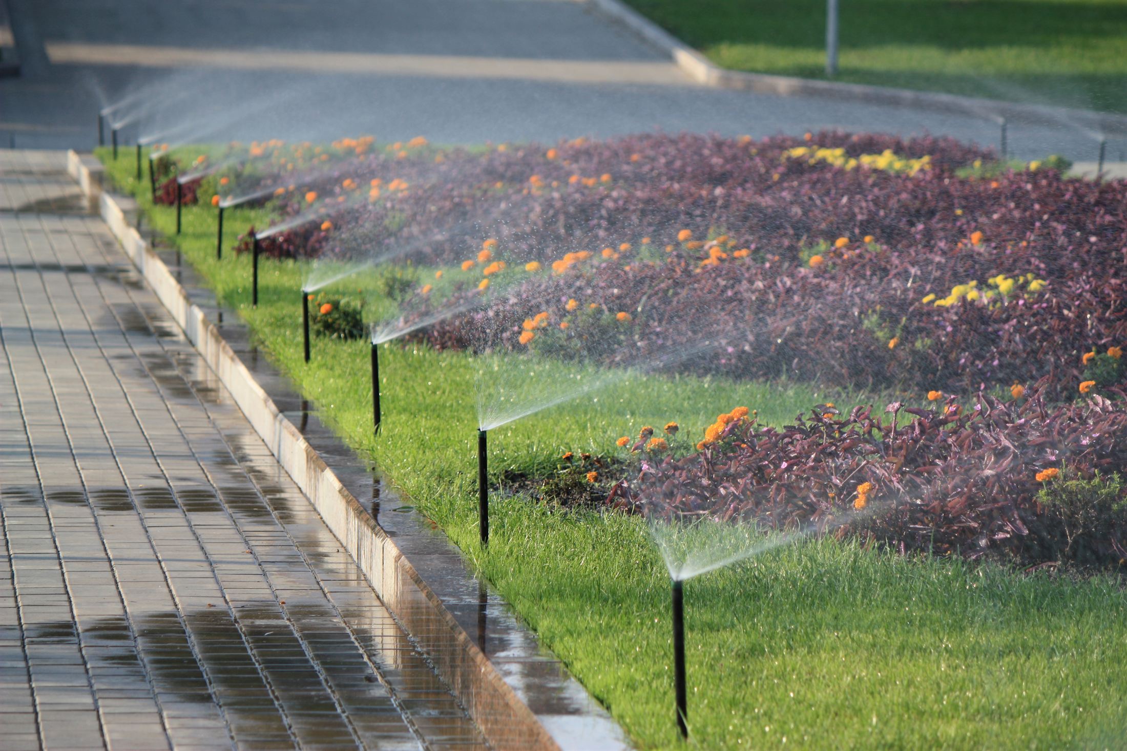 Парк Ленінського Комсомолу, фото 57